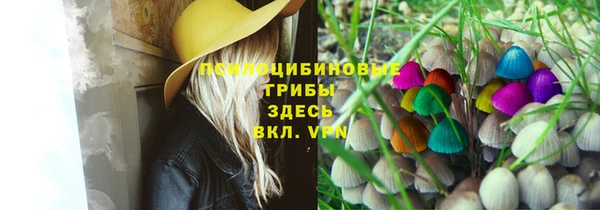 герыч Мегион