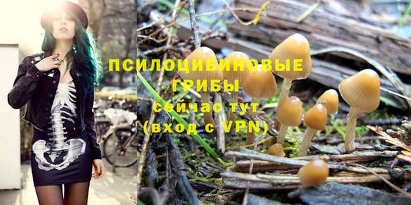 герыч Мегион