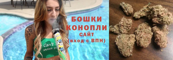 герыч Мегион