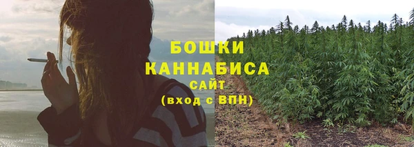 ALPHA PVP Медвежьегорск