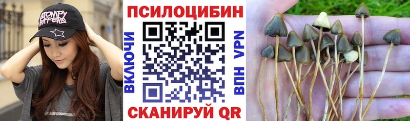 Галлюциногенные грибы мицелий  Купить  Алексин 
